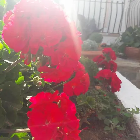 Apartamento Dionysios *