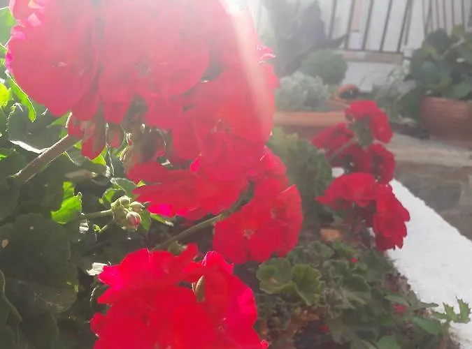 Διαμέρισμα Dionysios *